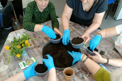 Warsztaty hortiterapeutyczne dla seniorów „Zielona równowaga”