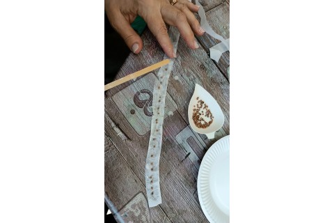 Warsztaty hortiterapeutyczne dla seniorów „Zielona równowaga”