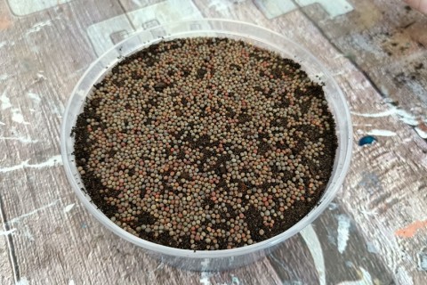 Warsztaty hortiterapeutyczne dla seniorów „Zielona równowaga”