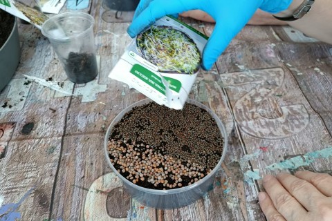 Warsztaty hortiterapeutyczne dla seniorów „Zielona równowaga”