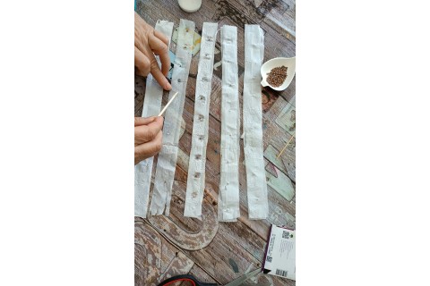 Warsztaty hortiterapeutyczne dla seniorów „Zielona równowaga”