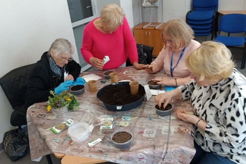 Warsztaty hortiterapeutyczne dla seniorów „Zielona równowaga”