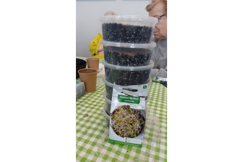 Warsztaty hortiterapeutyczne dla seniorów „Zielona równowaga”