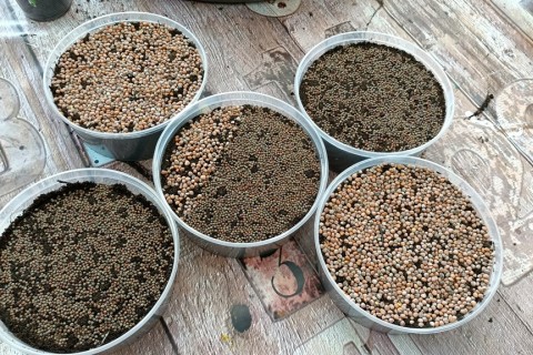 Warsztaty hortiterapeutyczne dla seniorów „Zielona równowaga”