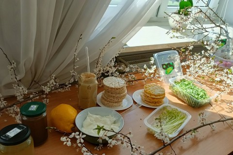 Warsztaty hortiterapeutyczne dla seniorów „Zielona równowaga”