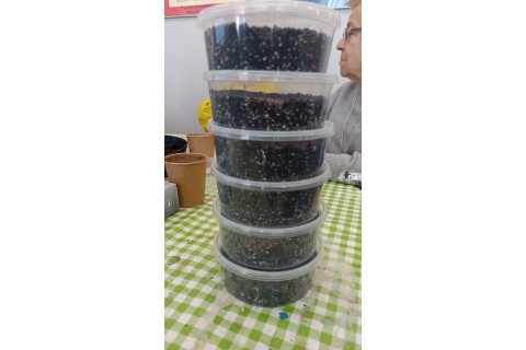 Warsztaty hortiterapeutyczne dla seniorów „Zielona równowaga”