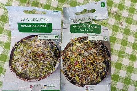 Warsztaty hortiterapeutyczne dla seniorów „Zielona równowaga”