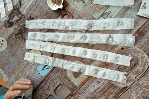 Warsztaty hortiterapeutyczne dla seniorów „Zielona równowaga”