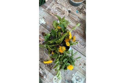 Warsztaty hortiterapeutyczne dla seniorów „Zielona równowaga”