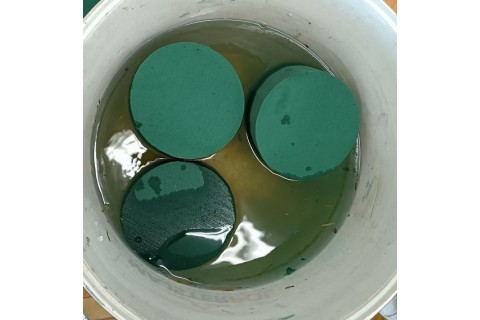 Warsztaty florystyczne dla dorosłych - Wiosenna kompozycja na stół