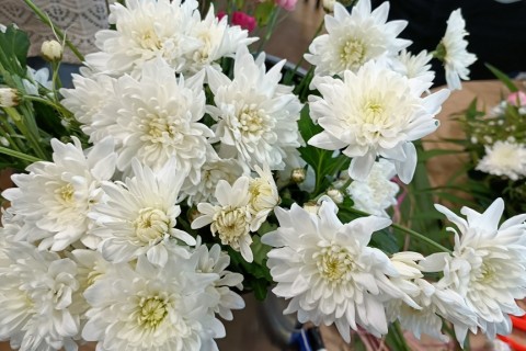 Warsztaty florystyczne dla dorosłych - Wiosenna kompozycja na stół