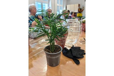 Warsztaty florystyczne dla seniorów - Las w szkle