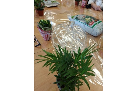 Warsztaty florystyczne dla seniorów - Las w szkle