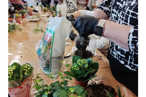 Warsztaty florystyczne dla seniorów - Las w szkle