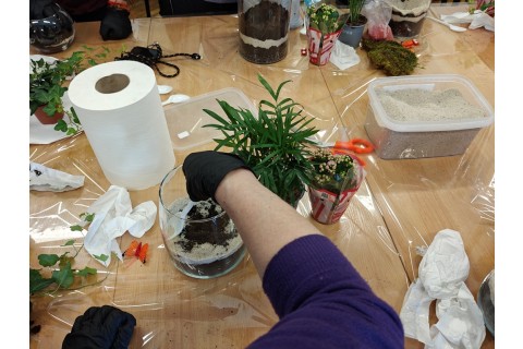 Warsztaty florystyczne dla seniorów - Las w szkle