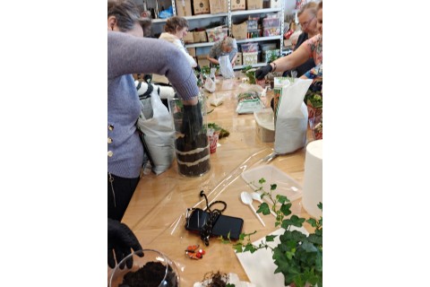 Warsztaty florystyczne dla seniorów - Las w szkle