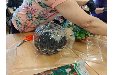 Warsztaty florystyczne dla seniorów - Las w szkle