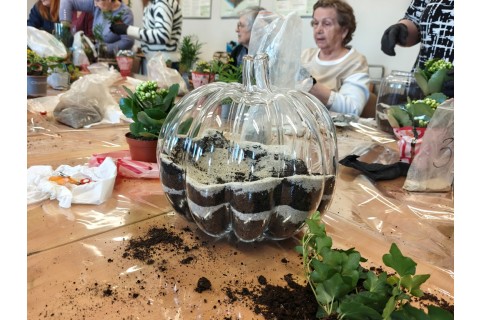 Warsztaty florystyczne dla seniorów - Las w szkle