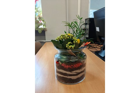 Warsztaty florystyczne dla seniorów - Las w szkle