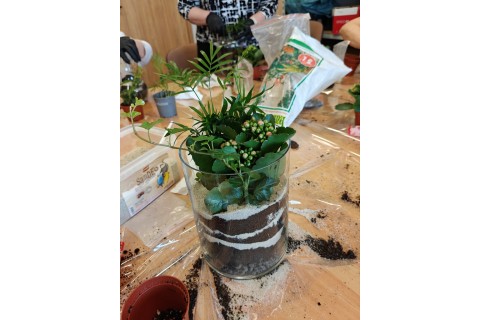 Warsztaty florystyczne dla seniorów - Las w szkle