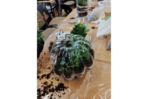 Warsztaty florystyczne dla seniorów - Las w szkle