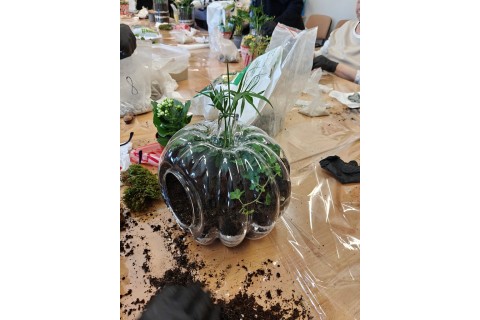 Warsztaty florystyczne dla seniorów - Las w szkle