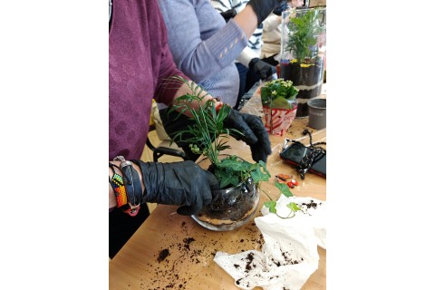 Warsztaty florystyczne dla seniorów - Las w szkle