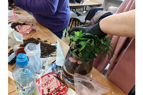 Warsztaty florystyczne dla seniorów - Las w szkle