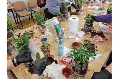 Warsztaty florystyczne dla seniorów - Las w szkle