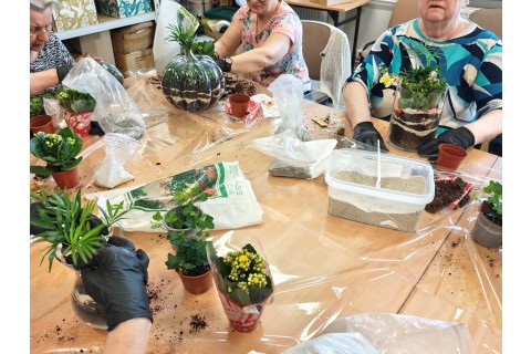 Warsztaty florystyczne dla seniorów - Las w szkle