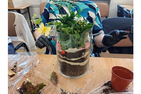 Warsztaty florystyczne dla seniorów - Las w szkle