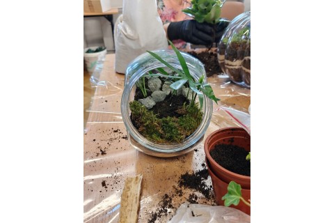 Warsztaty florystyczne dla seniorów - Las w szkle