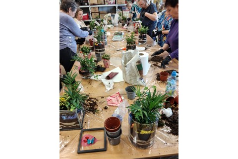 Warsztaty florystyczne dla seniorów - Las w szkle