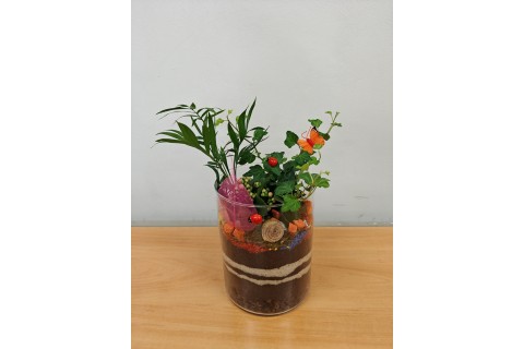 Warsztaty florystyczne dla seniorów - Las w szkle