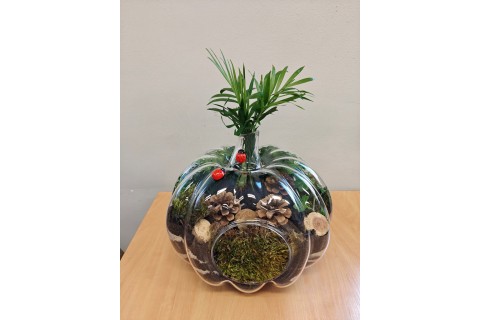 Warsztaty florystyczne dla seniorów - Las w szkle