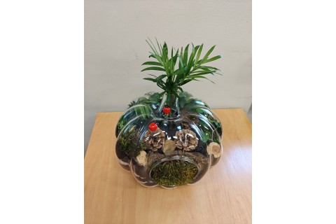 Warsztaty florystyczne dla seniorów - Las w szkle