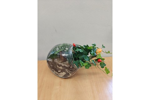 Warsztaty florystyczne dla seniorów - Las w szkle