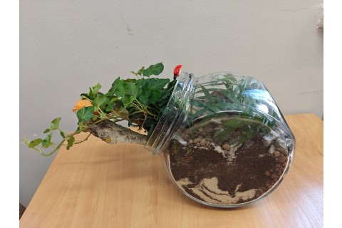 Warsztaty florystyczne dla seniorów - Las w szkle