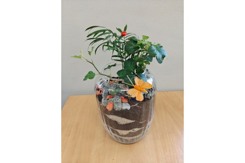 Warsztaty florystyczne dla seniorów - Las w szkle