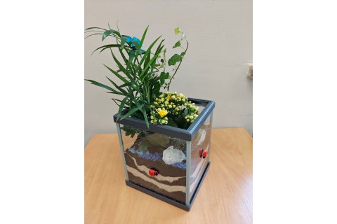 Warsztaty florystyczne dla seniorów - Las w szkle