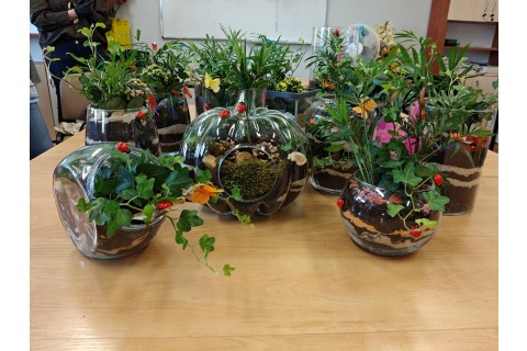 Warsztaty florystyczne dla seniorów - Las w szkle