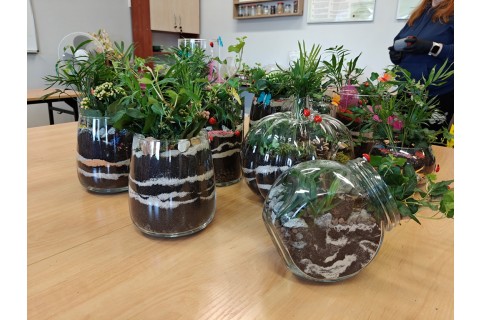 Warsztaty florystyczne dla seniorów - Las w szkle