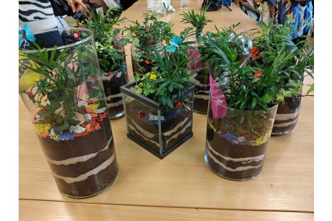 Warsztaty florystyczne dla seniorów - Las w szkle