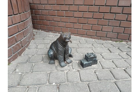 Rodzinny spacer po Białymstoku - Szlakiem Białostockich Widzimisiów