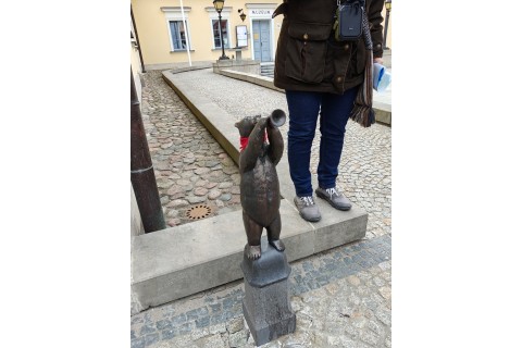 Rodzinny spacer po Białymstoku - Szlakiem Białostockich Widzimisiów