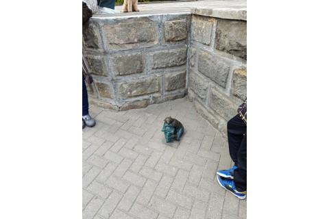 Rodzinny spacer po Białymstoku - Szlakiem Białostockich Widzimisiów