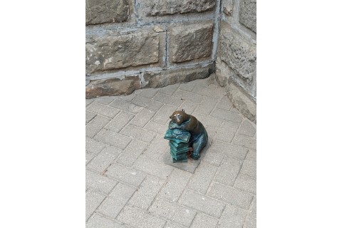 Rodzinny spacer po Białymstoku - Szlakiem Białostockich Widzimisiów