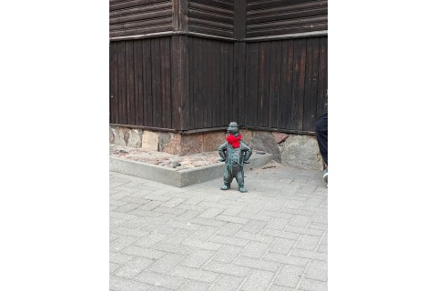 Rodzinny spacer po Białymstoku - Szlakiem Białostockich Widzimisiów