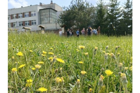 Warsztaty hortiterapeutyczne dla seniorów „W rytmie wzrostu”
