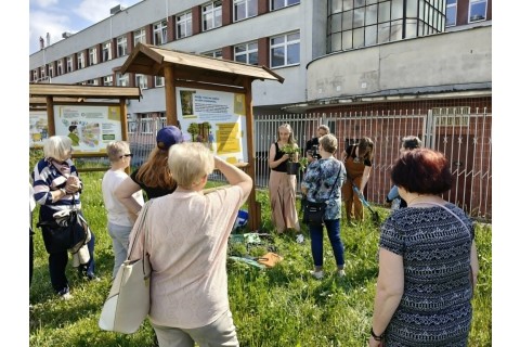 Warsztaty hortiterapeutyczne dla seniorów „W rytmie wzrostu”
